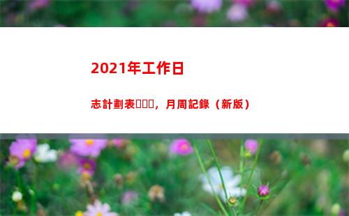 021年工作日志計劃表，月周記錄（新版）(2021年工作日多少天)"